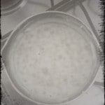 prima bollitura